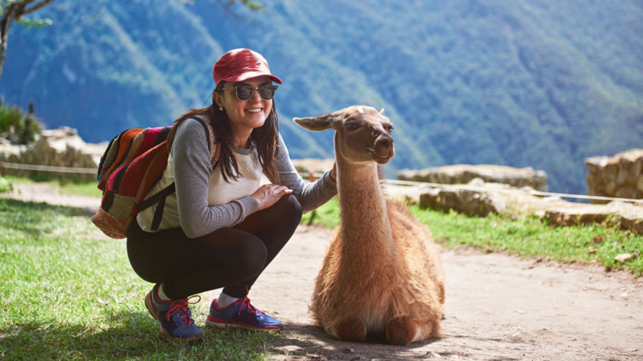 Lama Trekking Eine Reise in die Tierwelt der Anden mydays Magazi